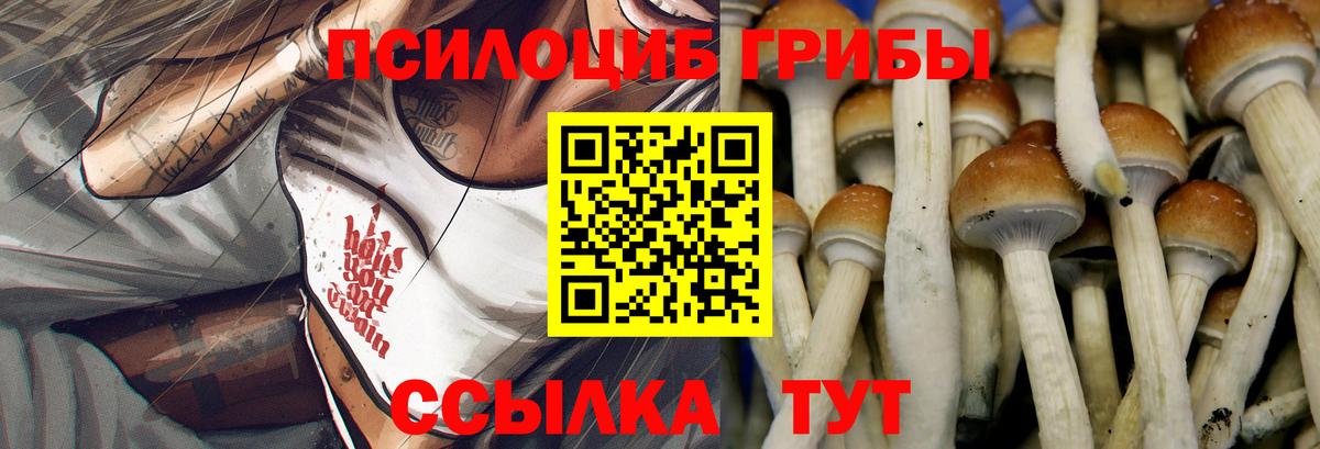 Кольчугино  где купить наркоту  Вход с VPN  Галлюциногенные грибы прущие грибы 