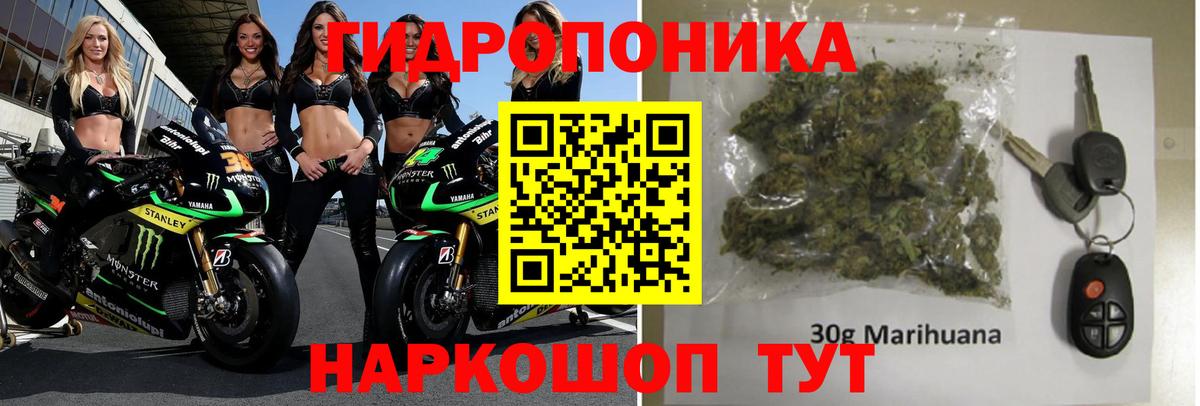 Шишки марихуана Bruce Banner  Вход с VPN  Конопля OG Kush  Кольчугино 